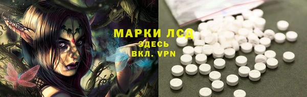 прущие крисы Верея