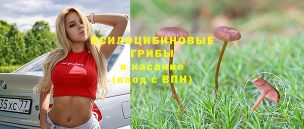 соль ск Верхний Тагил
