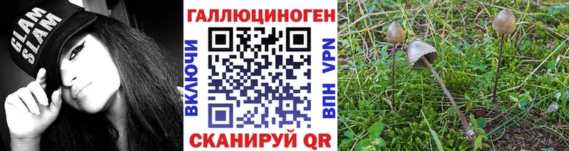 Галлюциногенные грибы Magic Shrooms  Купить  Новый Уренгой 