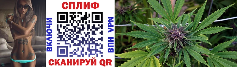 Купить  Новый Уренгой  Канабис семена 